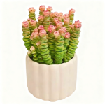 Lucky Money Plant String of Coins (20 Stiele, Topf nicht enthalten)