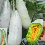 Horned Melon Seeds (Approx. 70 Seeds) - 画像2