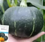 Green Baby Pumpkin Seeds (approx. 20 seeds) - 图片 2