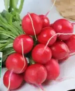 Cherry Radish Seeds 5g (approx. 400 seeds) - Imagen 2
