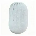 ピンク色の皮の大きな冬瓜の種 約25個