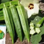 Approximately 50 seeds of yellow-green okra - 图片 2