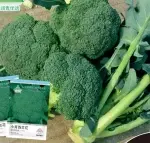 Approximately 200 broccoli seeds (pre-sprout before planting) - Bild 2