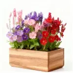 混色ペチュニア500粒