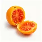 Approximately 500 seeds of yellow lady's slipper orchid