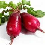 Da Hong Pao Radish Seeds 5g (Approximately 400 seeds)