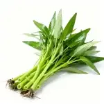 Water Spinach Seeds 10g (approx. 200 seeds) (Thrives in water and fertilizer)