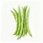 Red Flower Four-Season Bean Trellis Seed Packet (Approx. 25 Seeds)