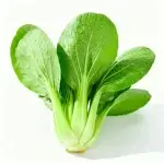 Semillas de Mostaza de Shanghai 10g (2000 Semillas) Crecimiento Rápido