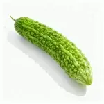 Approximately 10 seeds of Evergreen Bitter Melon. Thin, fragile seed coats do not affect germination. If concerned, please refrain from purchasing.