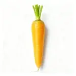 3 grams of Yellow Carrot Seeds (approximately 1,500 seeds)