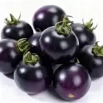 Black Pearl Dwarf Cherry Tomato Seeds (Potted) - Approximately 100 Seeds