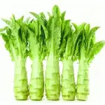 Approximately 2,000 Chinese lettuce seeds