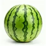 Qilin Wassermelonen-Samen 84-24 (ca. 40 Samen)