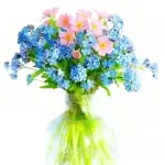 Vergissmeinnicht-Samen (150 Samen) + kleine Tüte mit Dünger