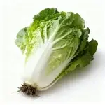 Chinakohlsamen, ca. 500 Samen (mittelfrüh reifend, hoher Ertrag, optimale wirtschaftliche Leistung)