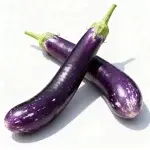 Lila lange Aubergine und Schwarze lange Aubergine Samen (ca. 300 Samen)