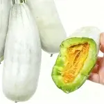 Horned Melon Seeds (Approx. 70 Seeds)