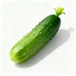 Aproximadamente 50 semillas de pepino fruta (pepino seco)