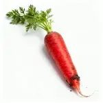 Red Carrot Seeds 4g (approx. 2000 seeds)