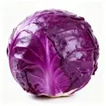 Purple Cabbage Seeds, approximately 200 seeds (non-GMO)