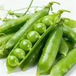 Sweet and crisp sugar snap pea seeds Approximately 45 seeds Shriveled Low starch content