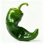 Dünnhäutige, eingelegte Chilisamen, etwa 100 Samen (Schärfegrad ★)