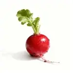 Cherry Radish Seeds 5g (approx. 400 seeds)