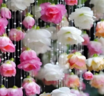 Mosquito-Repelling Weeping Flowering Quince Seeds + Fertilizer Planting Kit 500 grains - 画像3