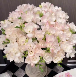 Hyacinth seeds: Five flower bud seeds + nutrient solution - Bild 2