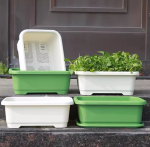 2 rectangular planters for growing vegetables and flowers - Bild 2