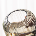 Creative Glass Planters for Hydroponic Plants Aquaponics Containers & Floral Decorative Pieces - Imagen 5