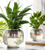 Creative Glass Planters for Hydroponic Plants Aquaponics Containers & Floral Decorative Pieces - Imagen 6