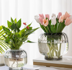 Creative Glass Planters for Hydroponic Plants Aquaponics Containers & Floral Decorative Pieces - Imagen 7